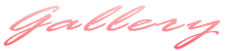�t�H���X�g